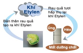 ethylen